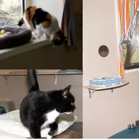 Dierenpension Het Polderland