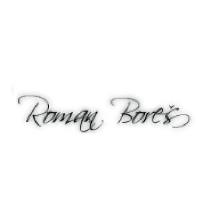 Logotipo de Roman Boreš - Opravy a servis chladicích zařízení
