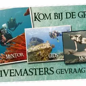 PADI Divemaster opleiding