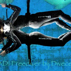 PADI Freediver center