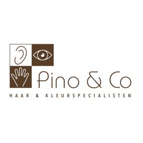 Kapsalon Pino & Co Haar- en Kleurspecialisten