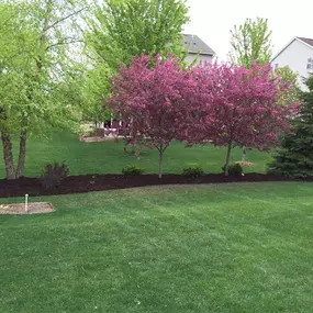 CB Services has been providing high quality outdoor services to clients in Maple Grove, and the surrounding northwest metro area, since 2008.