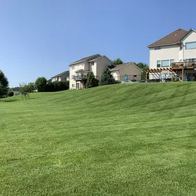 The leadership team at CB Services Lawn, Landscape and Irrigation has 40 years of combined green industry experience. We are a local, family owned landscaping company, located in Maple Grove, MN.