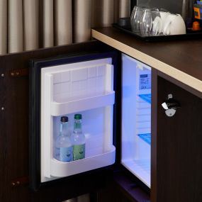 Premier Plus fridge