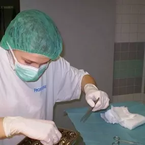 Bild von Veterinární klinika Karakal