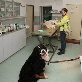 Bild von Veterinární klinika Karakal