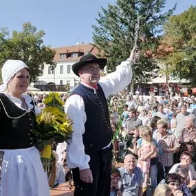 Bild von Informační centrum a Klub kultury Města Velké Bíteše, příspěvková organizace