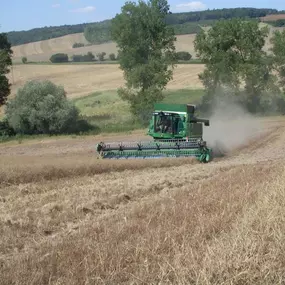 Bild von AGRODRUŽSTVO MORKOVICE, družstvo