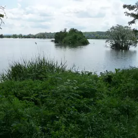 Bild von Rybníkářství Pohořelice a.s.