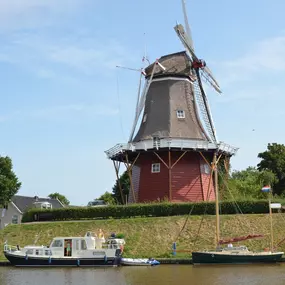 Doerak bij de molen van Dokkum