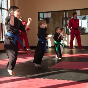Lessons at Dojo Karate at our eight locations throughout Minnesota: Maple Grove, Elk River, Monticello, Buffalo, Waconia, Rogers, Minnetonka, and Medina.