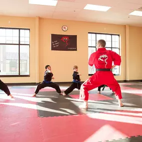 Lessons at Dojo Karate at our eight locations throughout Minnesota: Maple Grove, Elk River, Monticello, Buffalo, Waconia, Rogers, Minnetonka, and Medina.