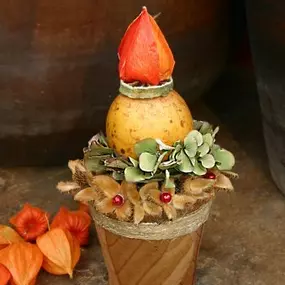 Krayenhoff Bloemsierkunst