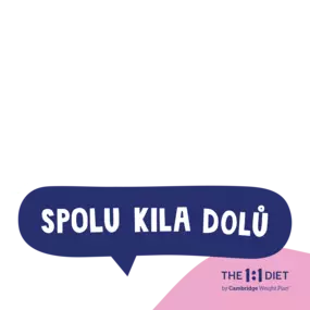 Bild von Spolukiladolu The 1:1 Diet by CWP Tábor Zuzana Vostárková