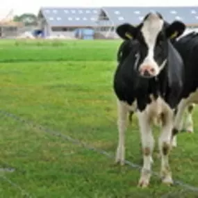 Bisschop Installatiebedrijf