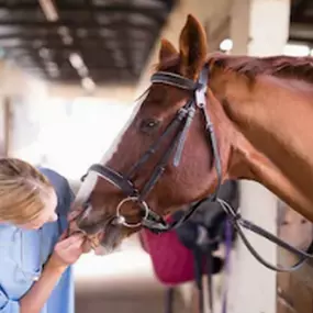 Bild von Veterinární ordinace - MVDr. Jan Chvátal