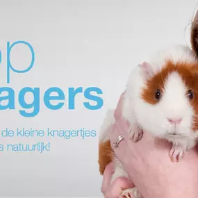 Dierspecialist Ben en Eugenie