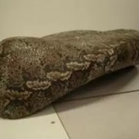 Schoone Auto- en Meubelbeklederij Rene