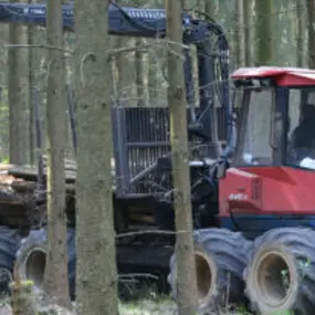 Houthandel H Janssen Venray