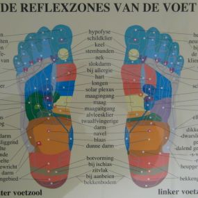 reflexzones van voet