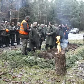 Bild von LESY MĚSTA DVŮR KRÁLOVÉ NAD LABEM, s.r.o.