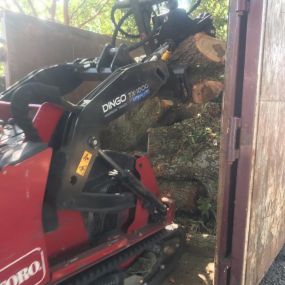 Multiple Tree Removal Service In Metairie LA | Call 504 495-1055