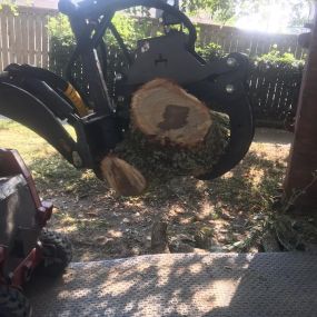 Dependable Tree Service Old Metairie LA | Call Now Free Estimate 504 495-1055