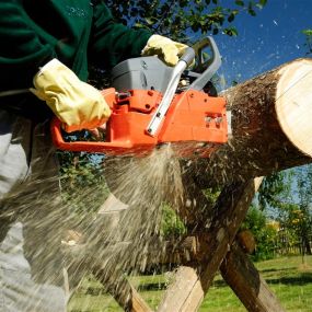 Fast Tree Removal Service Now Metairie LA | Call Free Estimate 504 495-1055