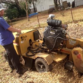 Tree Stump Removal Gert Town New Orleans | Call 504 495-1055