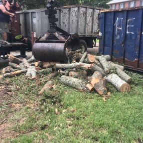 Tree Removal Freret New Orleans LA | Call Now Free Estimate 504 495-1055