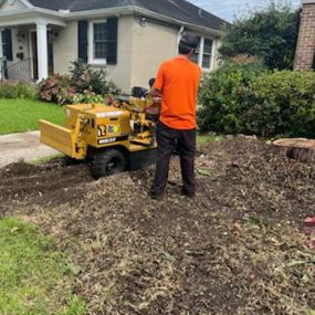 Big Stump Removal New Orleans Today | Call Now 504 495-1055