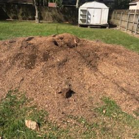 Top Rated 5 Star Stump Grinding Metairie LA | Call Now 504 495-1055