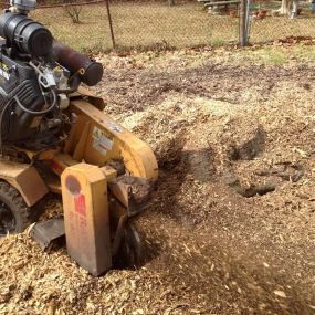 OK Tree Stump Grinding Metairie LA | Call 504 495-1055