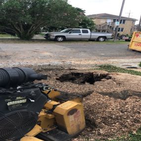 Elmwood LA Stump Removal | Call Now Free Estimate 504 495-1055