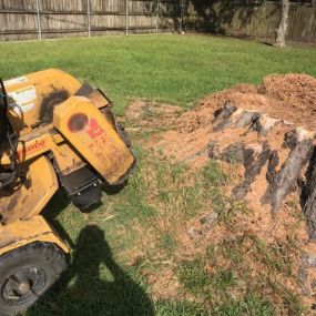 Great Stump Grinding Service Metariie LA Today | Call Now 504 495-1055