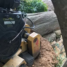 New Orleans Professional Stump Removal | Free Estimate (504) 495-1055