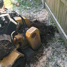 Stump Grinding Metairie LA | Free Estimate (504) 495-1055