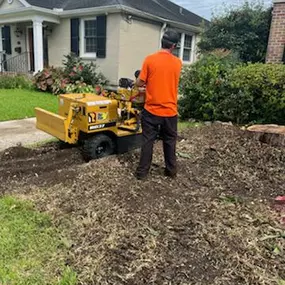 Big Stump Removal New Orleans Today | Call Now 504 495-1055