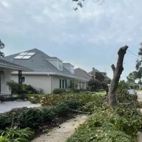 ER Tree Service Metairie LA | Call Now 504 495-1055 Free Estimate