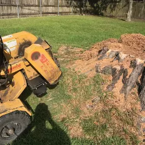 Big Stump Grinding New Orleans LA | Call 504 495-1055