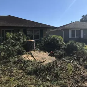 Insured Tree Removal Service In Metairie LA | Call Now 504 495-1055