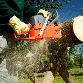 Fast Tree Removal Service Now Metairie LA | Call Free Estimate 504 495-1055