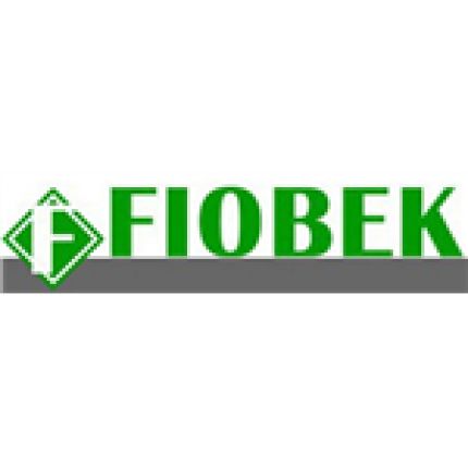 Logotipo de Fiobek - daně, účetnictví Brno
