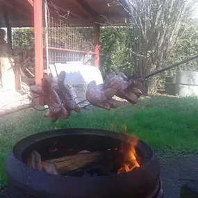 Bild von Řeznictví a uzenářství Carbol