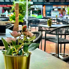 Terras, heerlijk in het zonnetje
