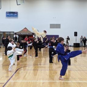 Dojo Karate demonstration at Waconia Area of Chamber of Commerce