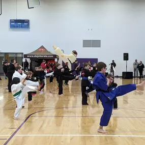 Dojo Karate demonstration at Waconia Area of Chamber of Commerce