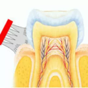 WestDent praktijk voor mondhygiëne