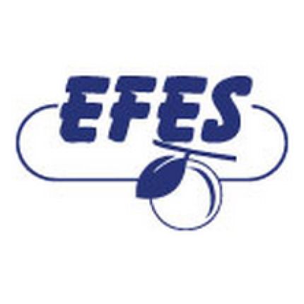 Logotyp från EFES, spol. s r.o. -  centrální sklad
