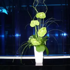 Green Interiors s.r.o.